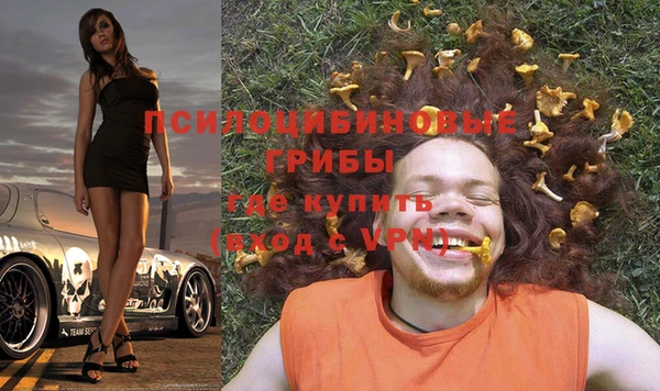 гидра Алексеевка