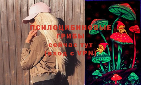соль ск Алексин